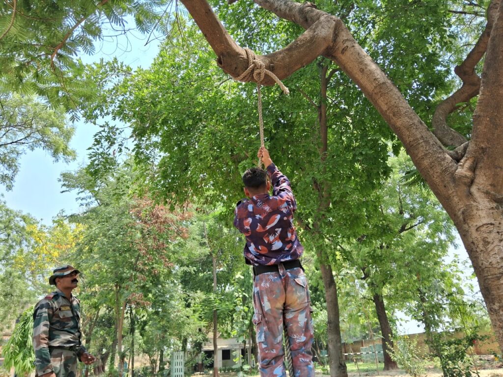 WhatsApp Image 2024-11-08 at 2.09.06 PM